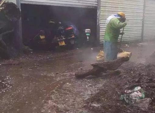 文玩行业的工作,文玩副业哪个前景好些