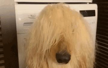 新买的女朋友又漏气了，质量不行啊，莫非是买到了山寨货？