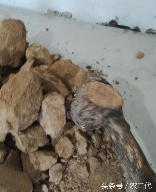 传统手工炒面,北方传统小零食炒面豆