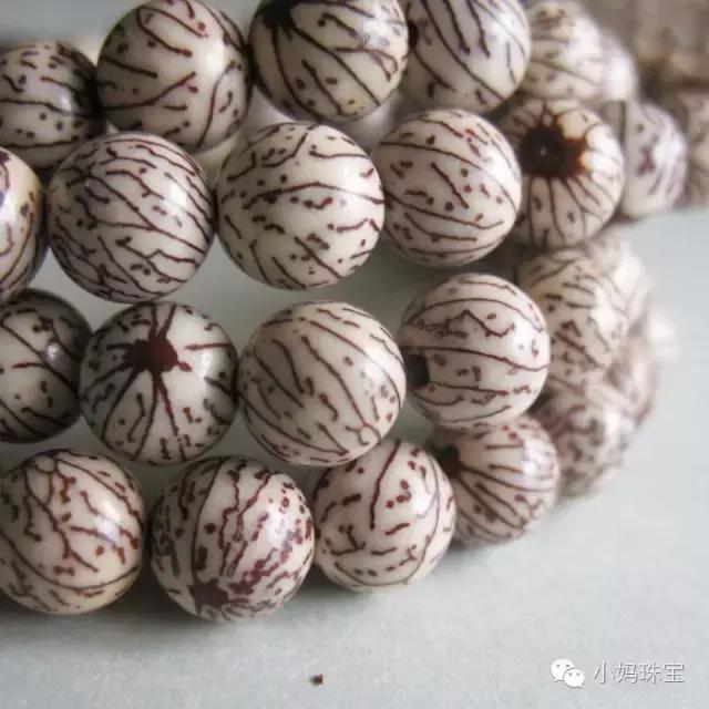 菩提要怎么介绍它的特色,菩提要懂的知识