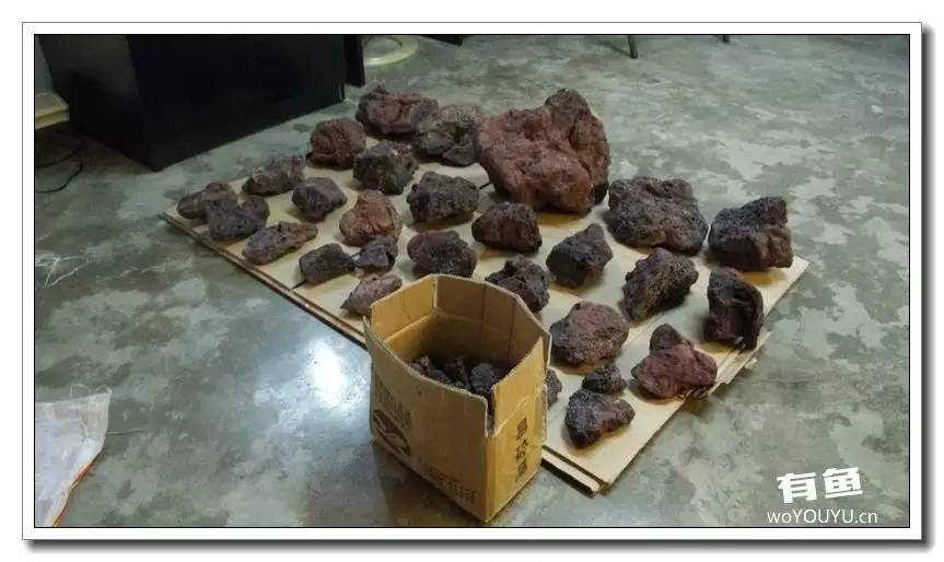 新手小白原生缸开缸教程,鱼缸怎么用高锰酸钾开缸详细教程