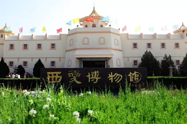 五一可以带孩子去银川吗,银川真的适合带孩子去吗