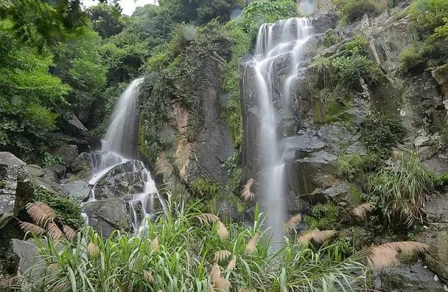 东南第一山私藏浙南最美的风情,浙江山林美宿攻略