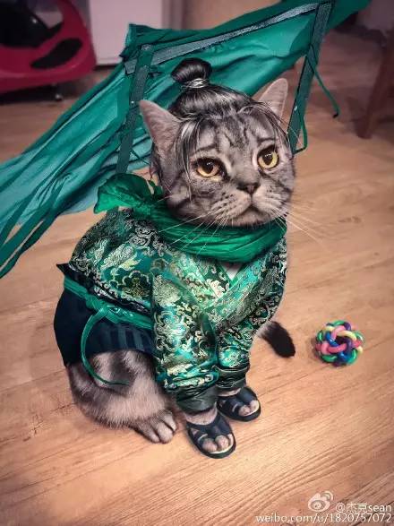 《太子妃》挂了，绿王上线，n年前上康熙时，他和小s。。。。