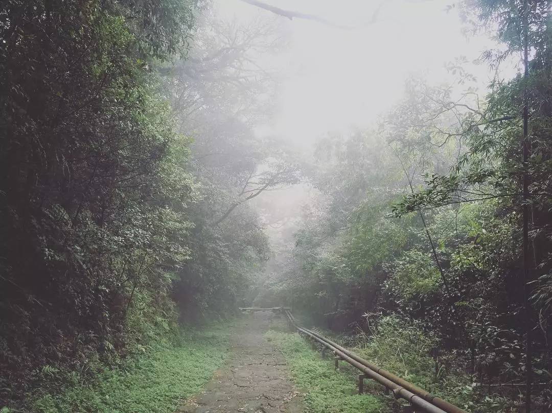 最实用的旅行化妆使用包,短期旅行带什么化妆包