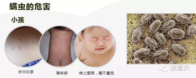 北京发生重大恶性案,北京发生了恶性事件