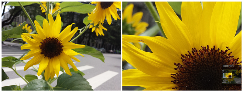 美图m6自拍效果怎么样,美图m6自拍功能怎么样