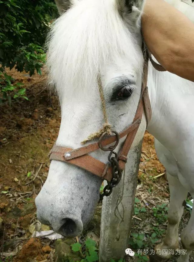 亚洲第一跨国大瀑布，淘宝掌柜环游旅行第十九集