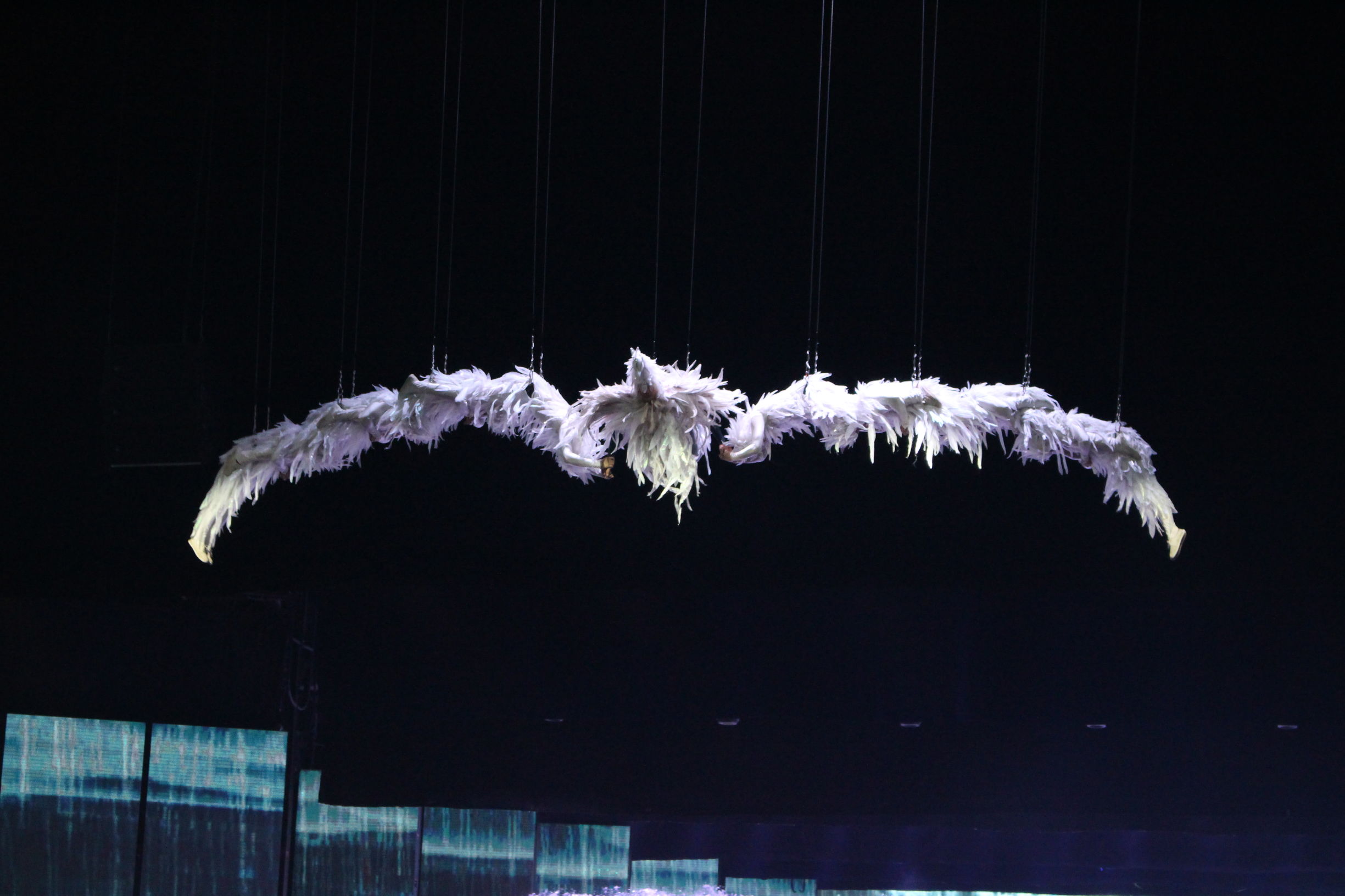 忘记艳遇,百变丽江,仅用一天,赴那千年之约