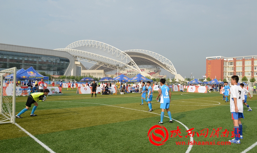 2023未来之星阳光体育大会,2017未来之星夏季阳光体育活动