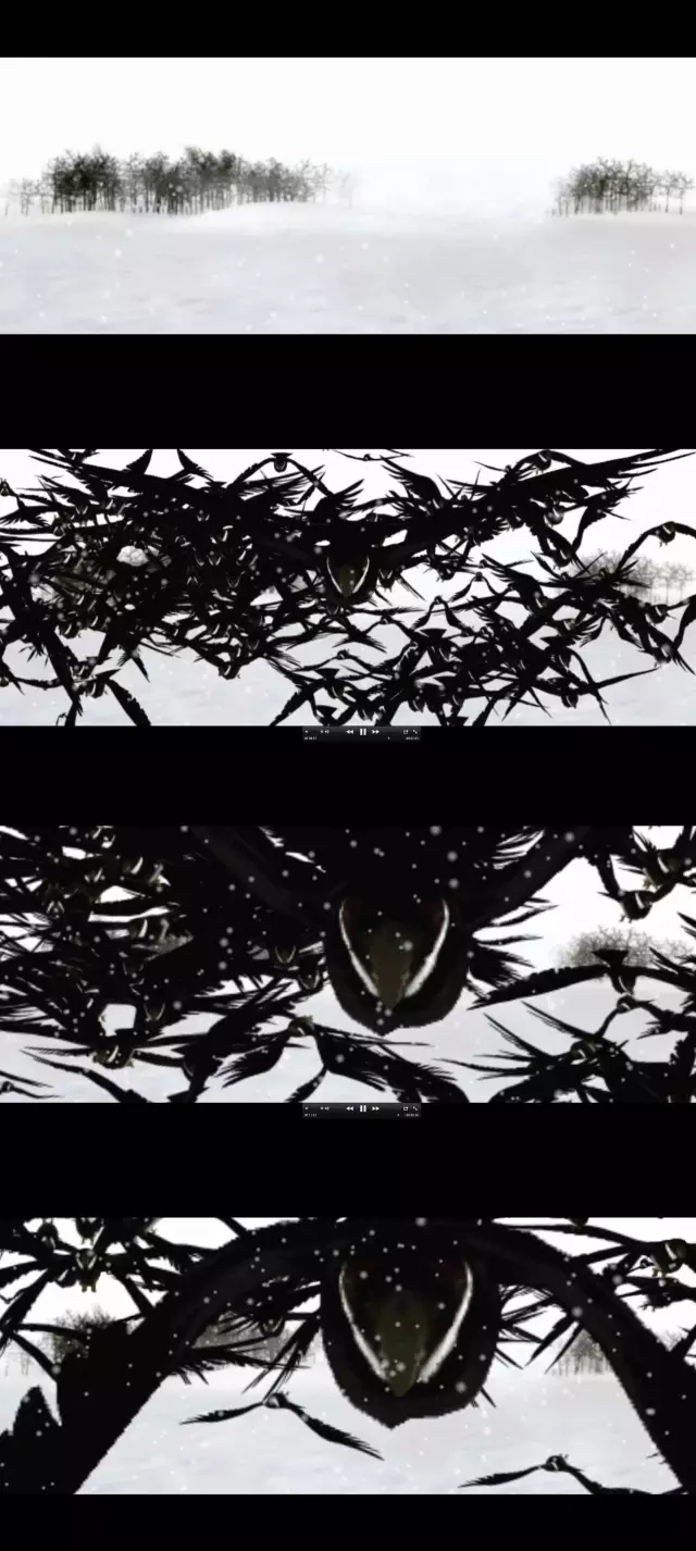 应对世界的入世方案——张锰