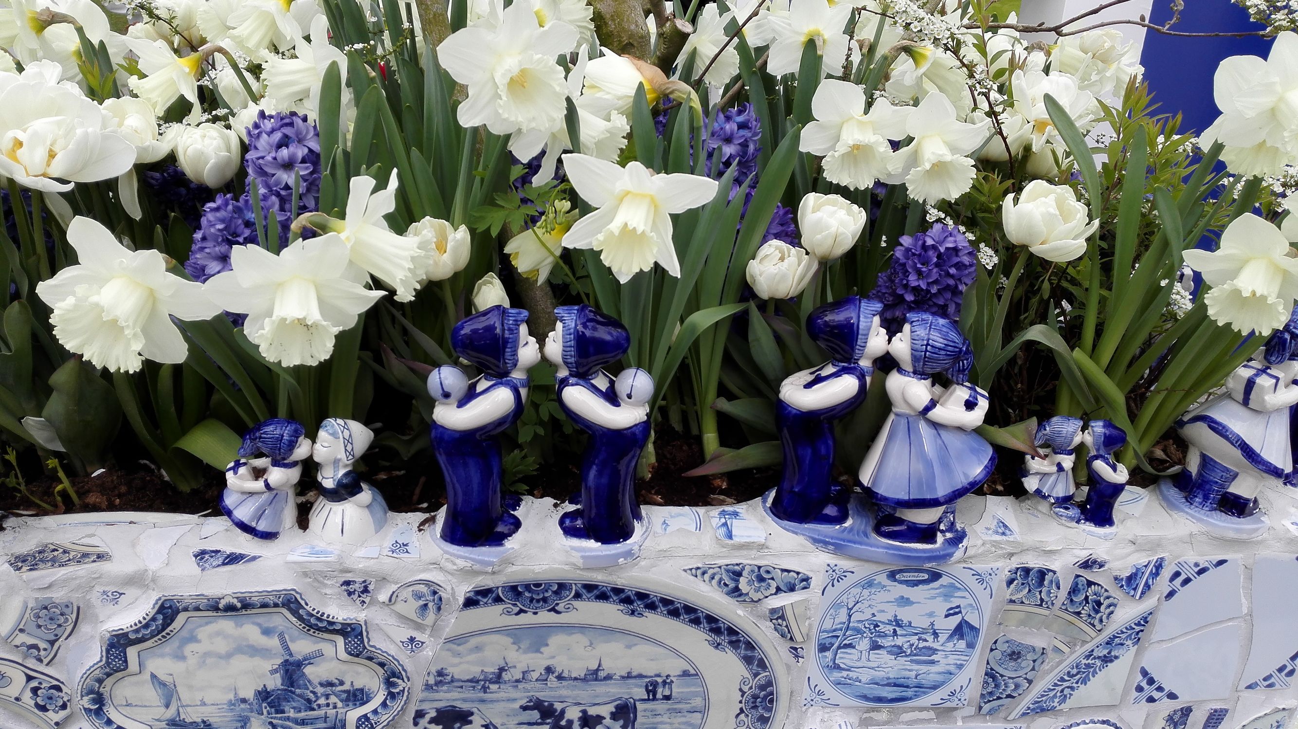 荷兰奶粉哪款最好,荷兰奶粉有什么秘密