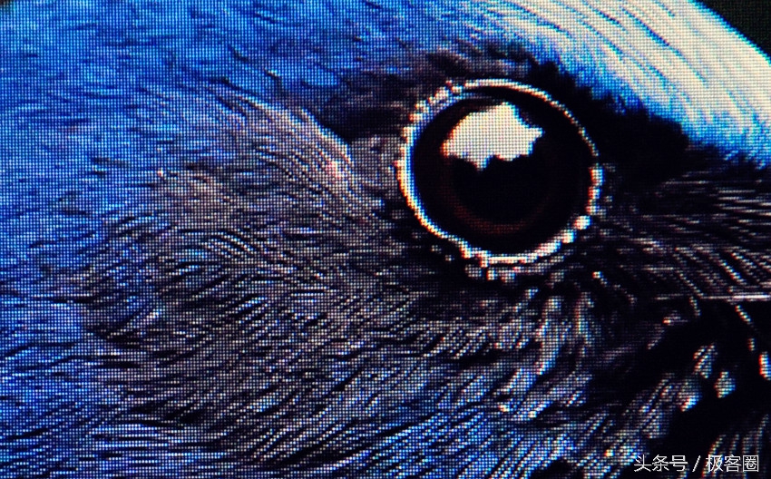 推荐几款设计用的显示器,入门级设计类显示器