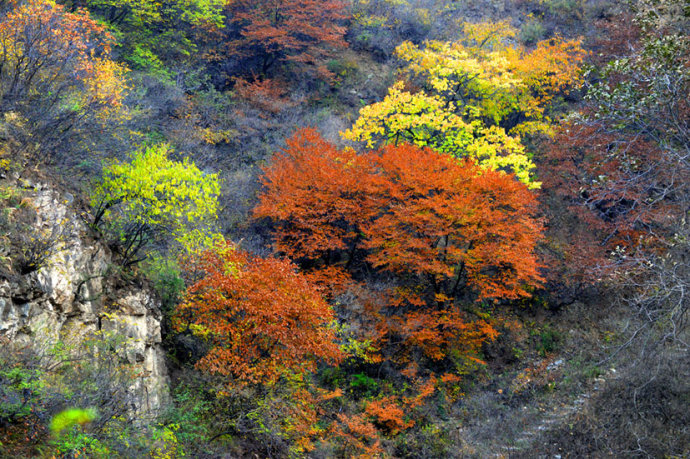 爨底下周边景区,爨底下村风景区怎么游