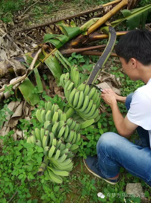 亚洲第一跨国大瀑布，淘宝掌柜环游旅行第十九集
