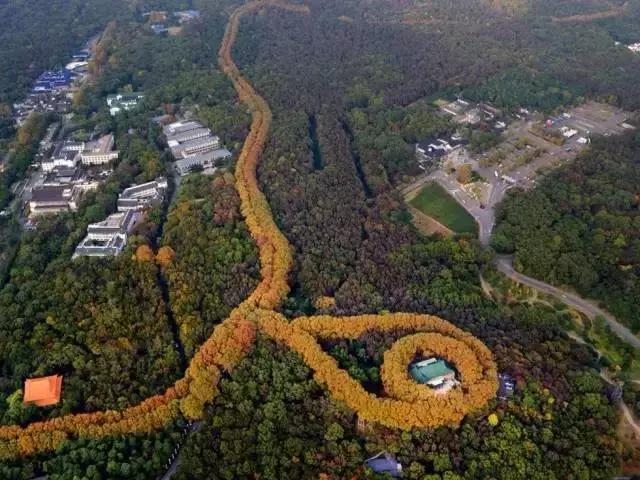 南京地铁三期最新消息,南京最近要开通的地铁