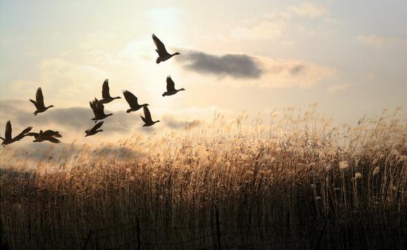 要想成为学习高手就要学什么,想成为高手该练几指操作