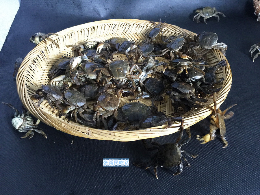 潮汕人腌制的螃蟹,潮汕人的腌制小河蟹