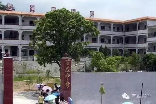 我为母校代言模板,我为家乡代言母校