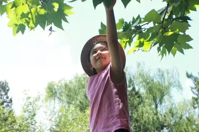 北京稻香湖景酒店儿童乐园,稻香湖欢乐岛温泉城堡儿童乐园