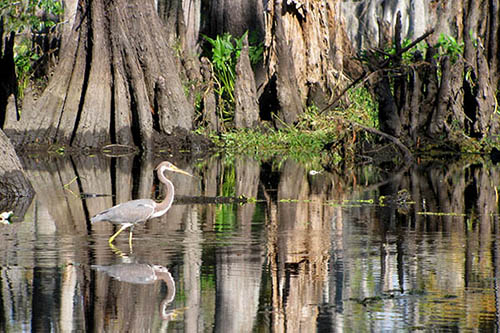 世界七大最恐怖的圣地,世界上神秘又恐怖的十个地方