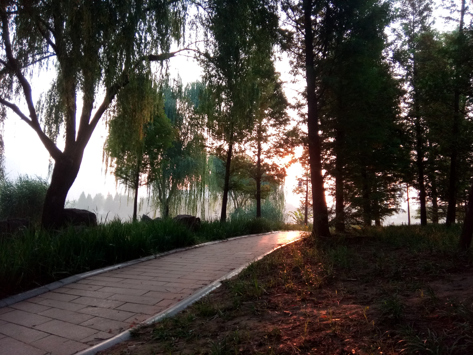 小品牌性价比电动车,酷比max5参数