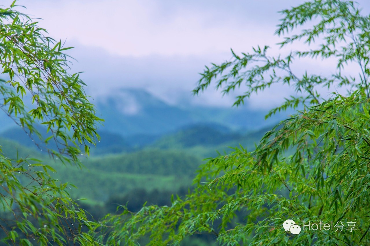 莫干山裸心谷的风景怎么样,莫干山裸心谷值得去吗