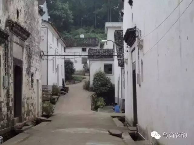 义乌这座老宅横梁的小鱼会变色，随天气一变一个准，你说神不神？