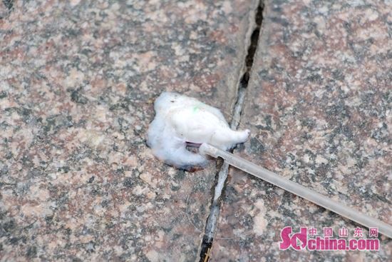 山东聊城高温预报,东昌府区高温天气