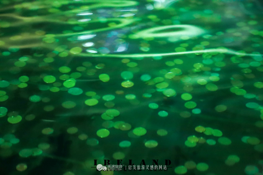 健力士和吉尼斯纪录,健力士吉尼斯黑啤