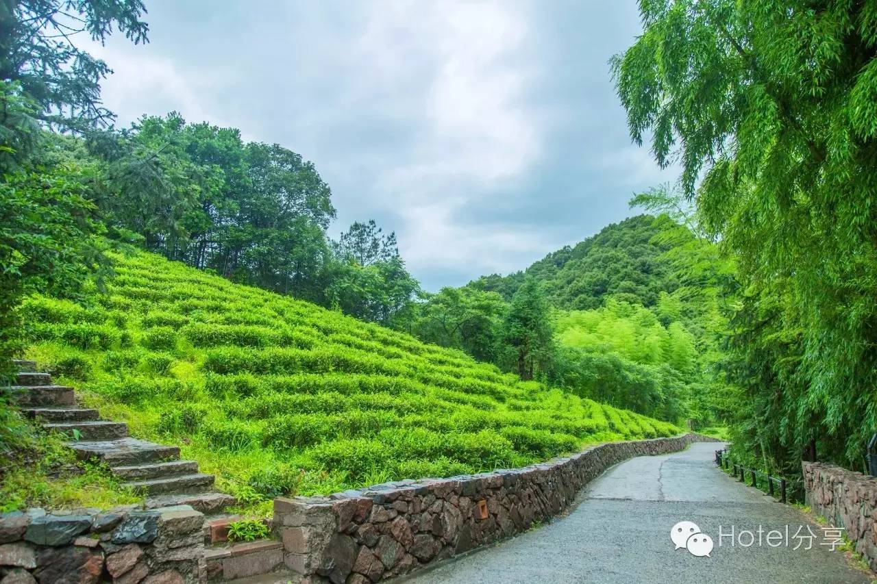 莫干山裸心谷的风景怎么样,莫干山裸心谷值得去吗