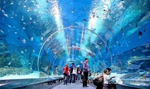 舟山海洋科技馆直播,舟山海洋科技馆门票