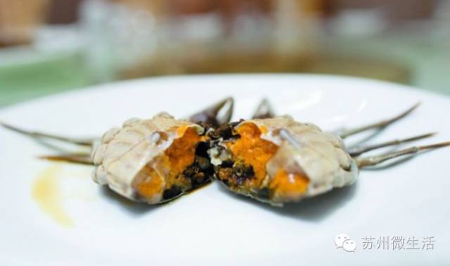 六月黄，令苏州人“魂牵梦萦”的那一口鲜嫩浓香的黄金膏油~来了！