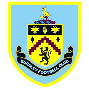 英超球队队徽大全,换头像更上瘾