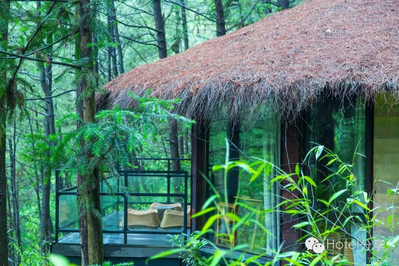 莫干山裸心谷的风景怎么样,莫干山裸心谷值得去吗