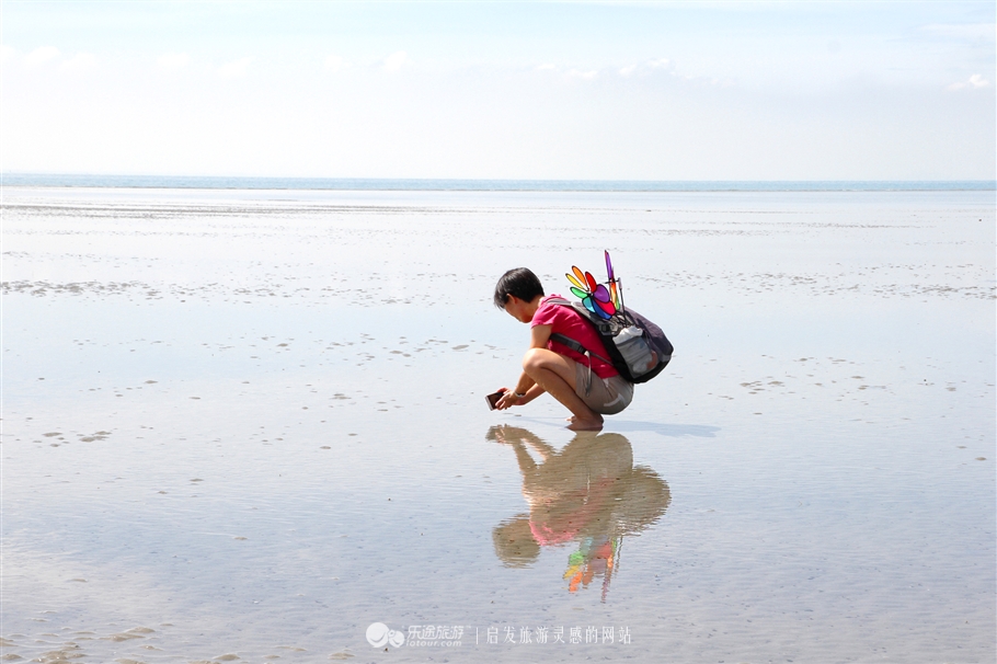 放学别走！雪兰莪喊你去补生物课！