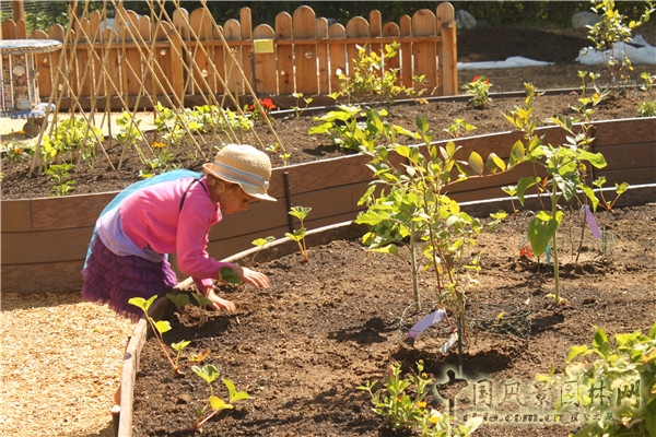 美国印第安纳州波利斯儿童博物馆,加利福尼亚奥克兰博物馆