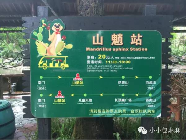 广州长隆动物园一日游攻略,长隆动物园和海洋公园哪个值得去