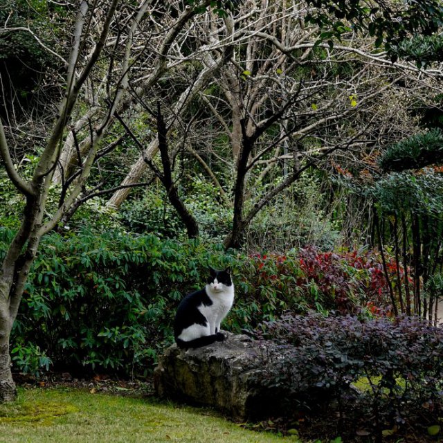 上海西郊宾馆可以参观吗,上海西郊宾馆游玩心得