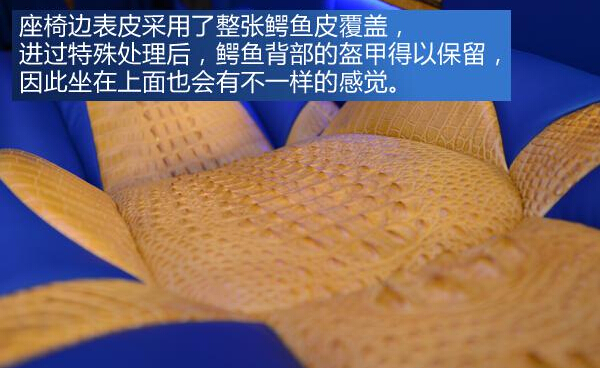 鳄鱼皮打造奢华内饰实拍中欧唯雅诺商旅车
