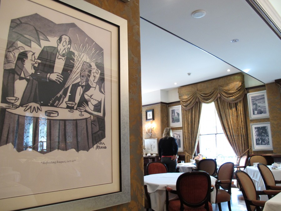 悉尼是啥味道,悉尼盐蚝