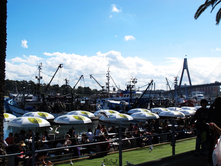 悉尼炎热,悉尼潮湿还是干燥