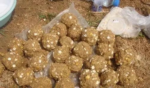 挂玉米粒钓草鱼鳊鱼调漂最佳方法,钓草鱼高手窝料配方