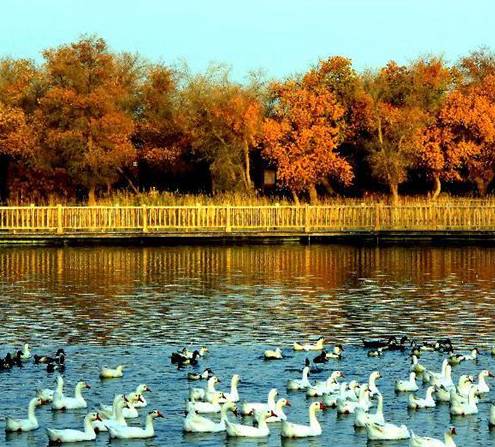 巴楚的旅游景点,巴楚旅游景点大全