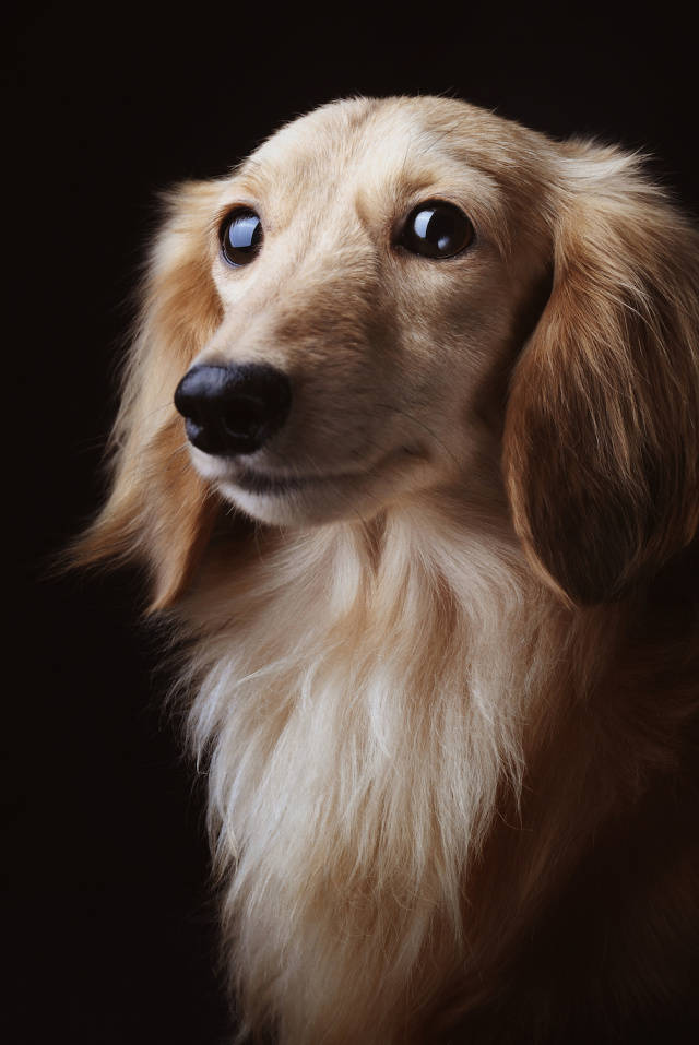 showtime剧情介绍,showtime剧情讲解