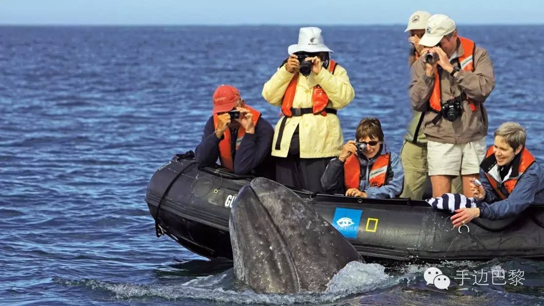 免签旅游地,免签地区汇总