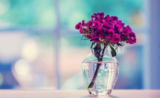 幼儿园家长会怎么开最轻松,幼儿园如何有效开家长会