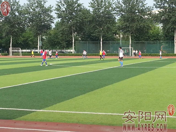 豫冠联赛河南队,2020河南豫冠联赛