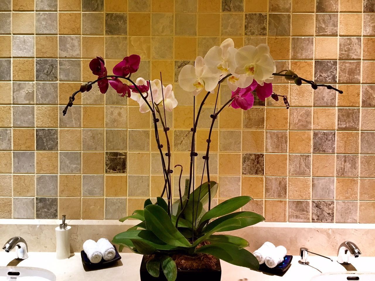 巴厘岛spa按摩店,去巴厘岛spa按摩