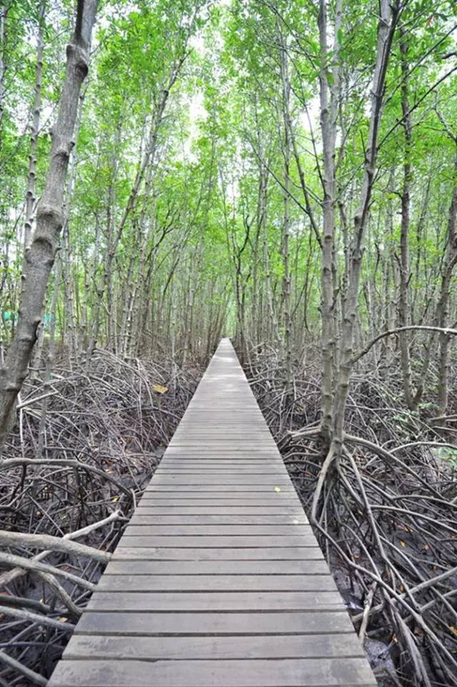 说吃就走的芭提雅南昌出发（最强攻略）亚航年中大促销